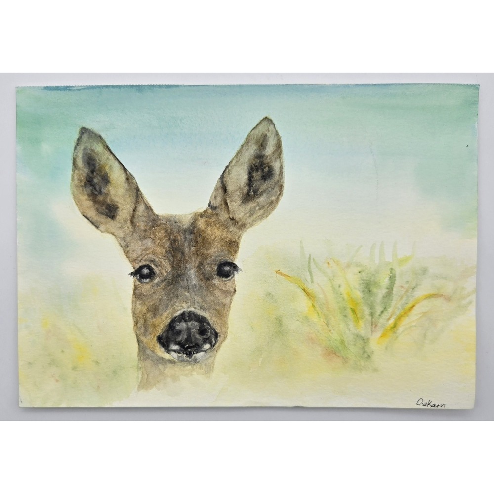 Deer Original Watercolor Painting 10x7 Wildlife Nature Art‎ on Paper